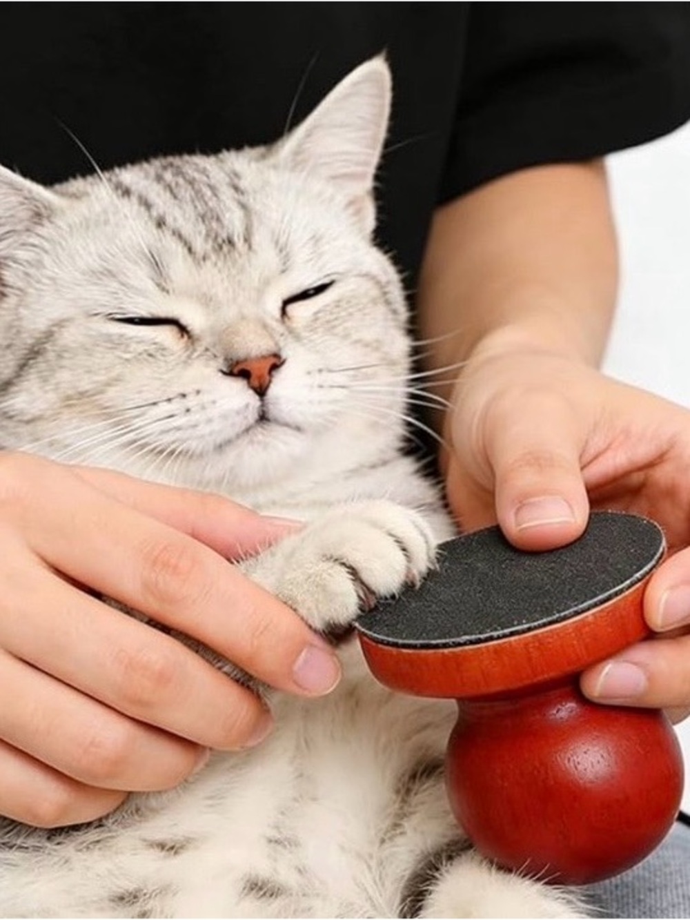 💞 New Wooden Pet Nail File for Cats & Puppy Dogs